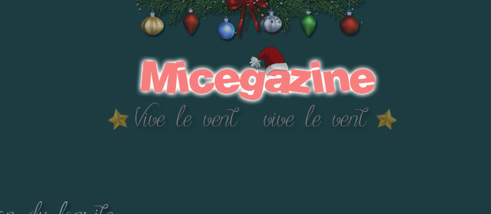 'Micegazine n°7 : En hiver' est là !